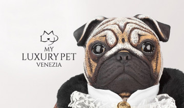 Shop My Luxury Pet